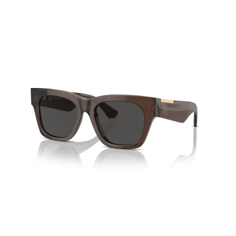 Burberry Women's Square Frame Brown Acetate Sunglasses - BE4424