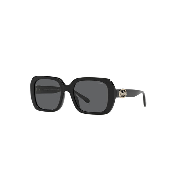 Coach Women's Square Frame Black Acetate Sunglasses - HC8329U