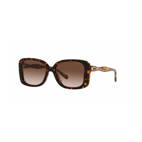 Coach Women's Butterfly Frame Dark Tortoise Acetate Sunglasses - HC8334U