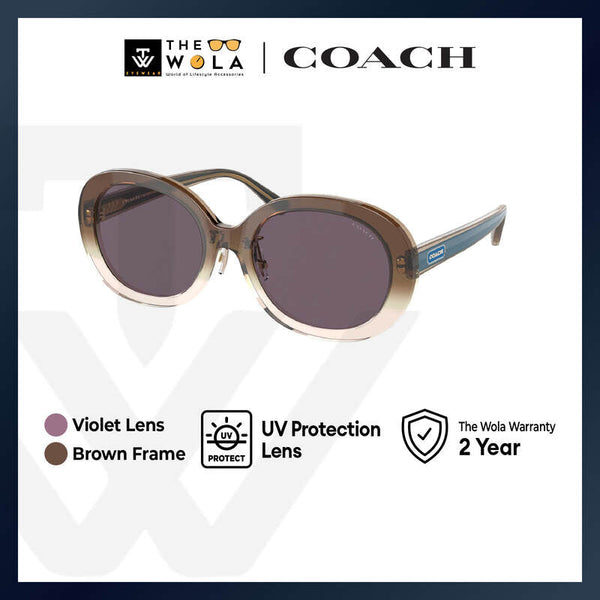 Coach Women's Oval Frame Brown Acetate Sunglasses - HC8337F