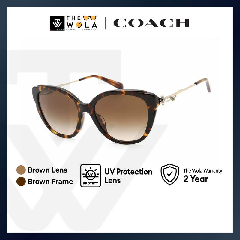 Coach Women's Square Frame Havana Acetate Sunglasses - HC8347BU