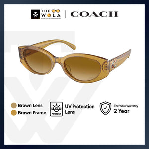 Coach Women's Oval Frame Honey Acetate Sunglasses - HC8353F