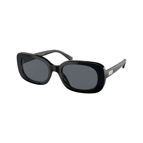 Coach Women's Oval Frame Black Acetate Sunglasses - HC8358F