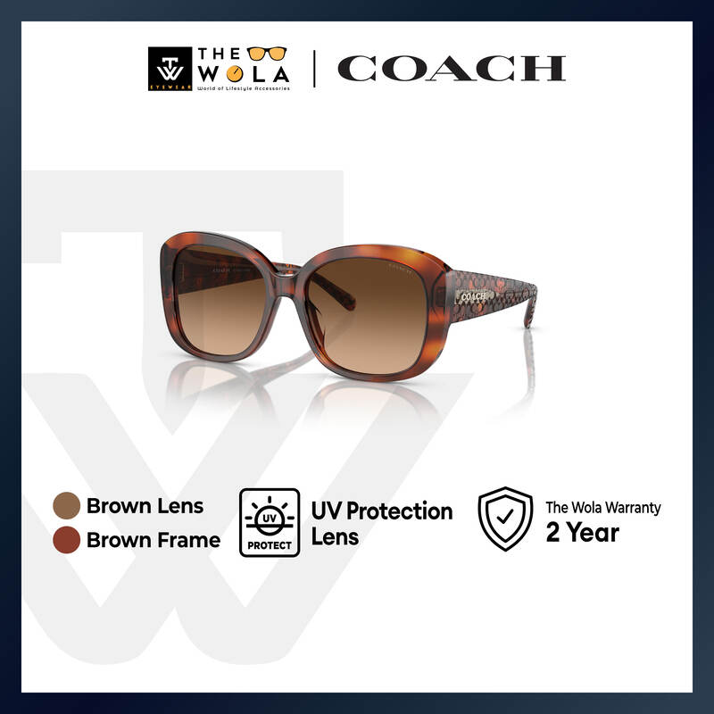 Coach Women's Butterfly Frame Caramel Tortoise Acetate Sunglasses - HC8363U