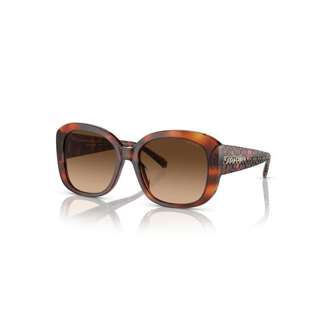 Coach Women's Butterfly Frame Caramel Tortoise Acetate Sunglasses - HC8363U