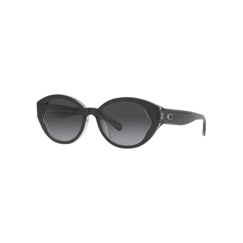 Coach Women's Oval Frame Black Acetate Sunglasses - HC8364U