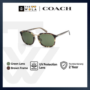 Coach Men's Irregular Frame Sage Tortoise Acetate Sunglasses - HC8366