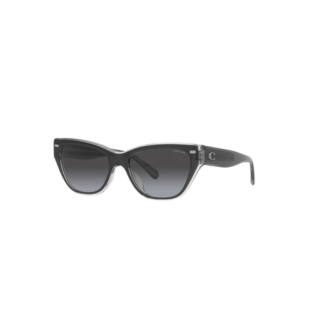 Coach Women's Cat Eye Frame Black Acetate Sunglasses - HC8370F