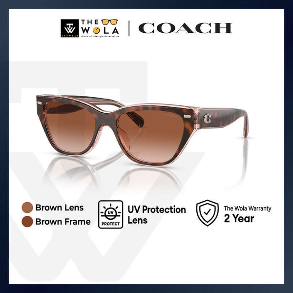 Coach Women's Cat Eye Frame Brown Acetate Sunglasses - HC8370U