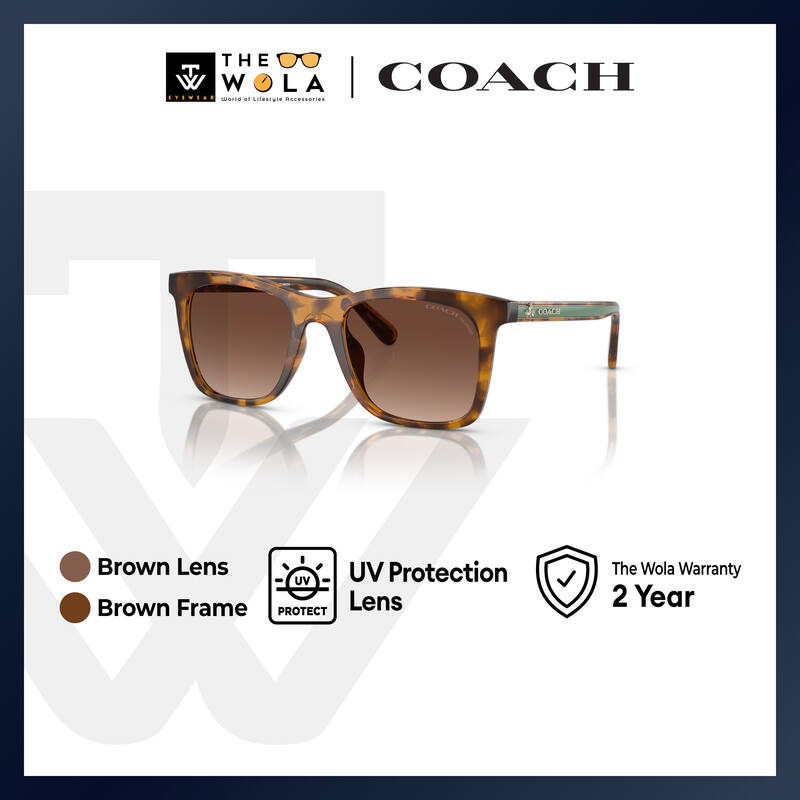 Coach x Disney Women's Square Frame Dark Tortoise Injected Sunglasses - HC8374U