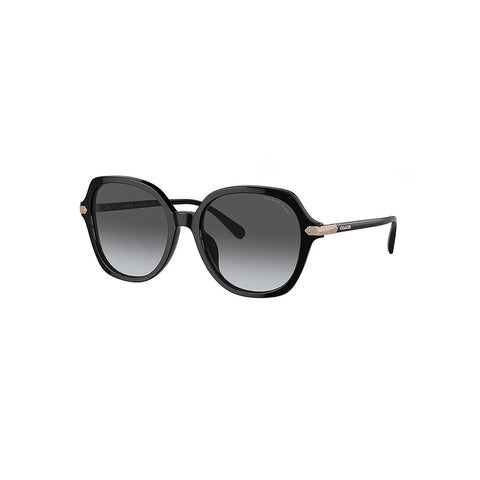 Coach Women's Round Frame Black Acetate Sunglasses - HC8377U