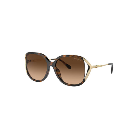 Coach Women's Square Frame Brown Injected Sunglasses - HC8396U