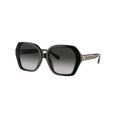 Coach Women's Irregular Frame Black Acetate Sunglasses - HC8404U