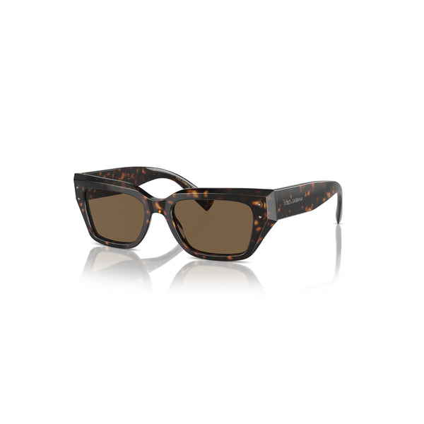 Dolce & Gabbana Women's Cat Eye Frame Brown Acetate Sunglasses - DG4462F