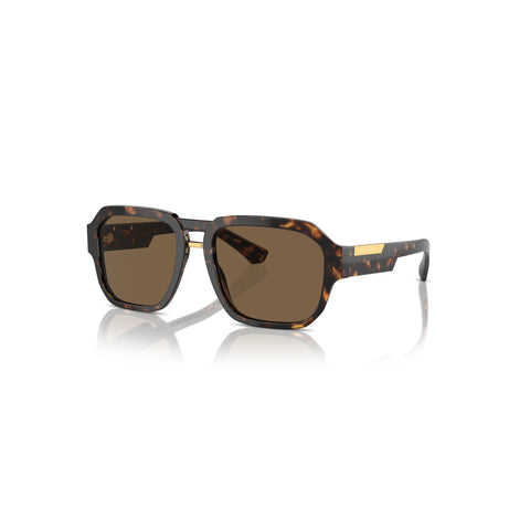 Dolce & Gabbana Men's Pilot Frame Brown Acetate Sunglasses - DG4464F