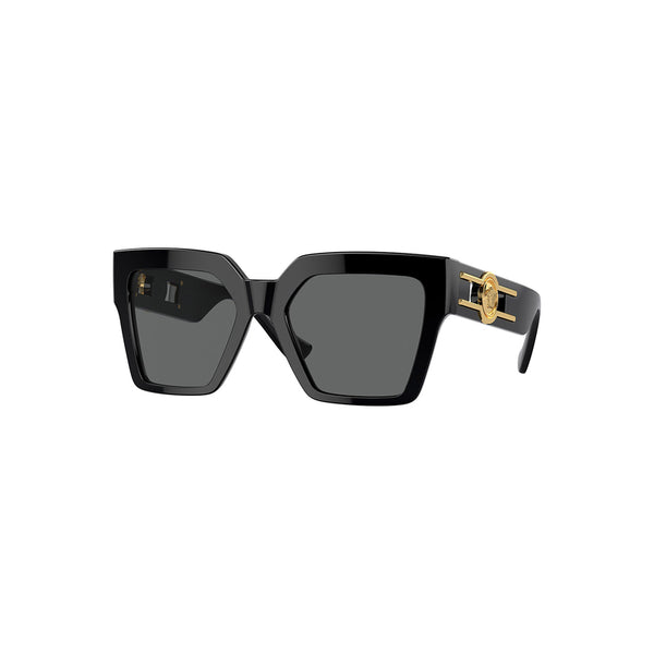 Versace Women's Butterfly Frame Black Acetate Sunglasses - VE4458F